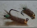 Peeping Caddis
